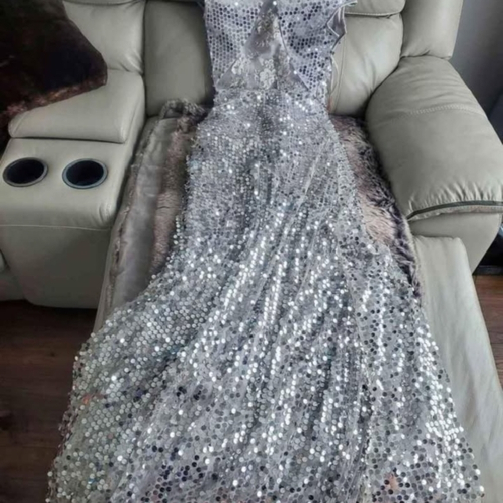 Elegant Silver Sequin Dress